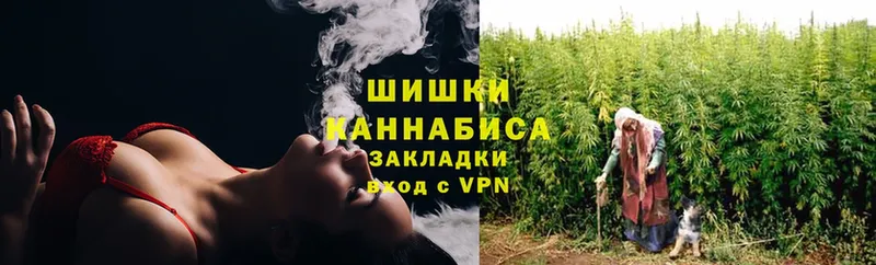 Конопля OG Kush  цена   Нефтеюганск 